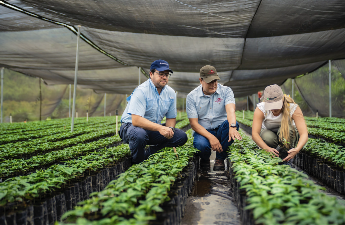 A Collaboration Rooted in Care — For You and Coffee’s Future