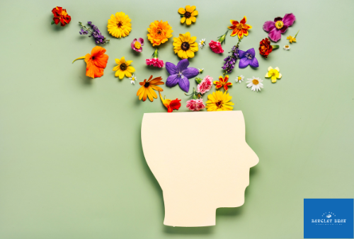 Sip, Support, & Self-Care – Barclay Bean x Mental Health America of Greater Houston